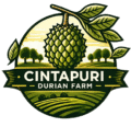 Cintapuri Durianfarm